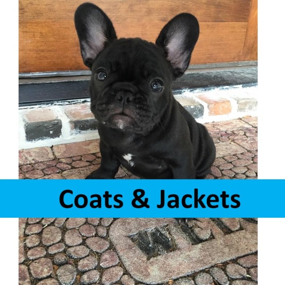 jackets - Picture 1 of 1
